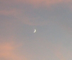 Lunita