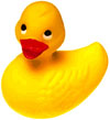La odisea de los patitos de goma náufragos