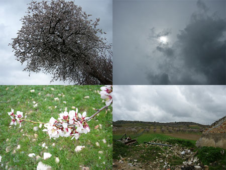 A la mierda primavera