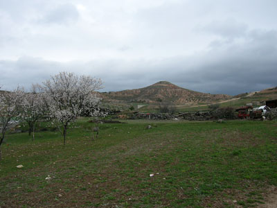 Primavera