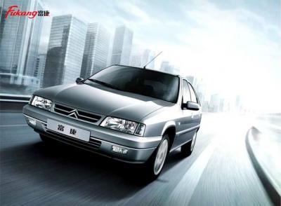 ¿Citroën ZX chino?