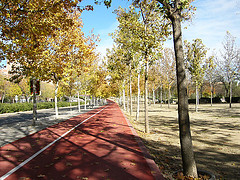 Postal de otoño