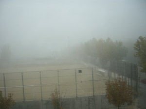 Mañana de niebla