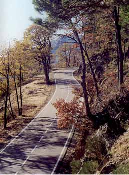 Paisajes de otoño
